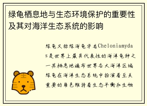 绿龟栖息地与生态环境保护的重要性及其对海洋生态系统的影响